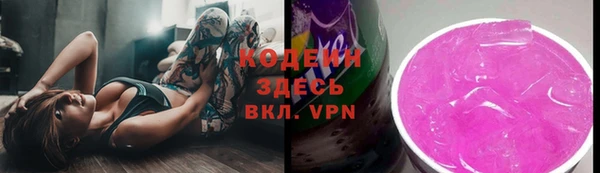 метадон Гусев