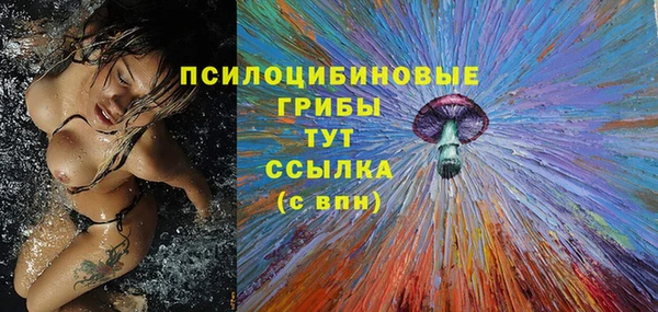 метадон Гусев