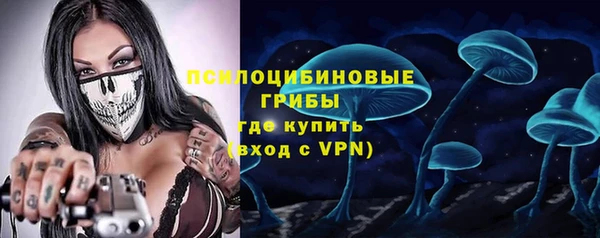 метадон Гусев