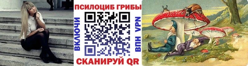 Купить где  Игра  Галлюциногенные грибы Psilocybine cubensis 