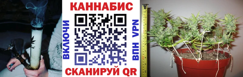 Купить где  Игра  Марихуана Amnesia 